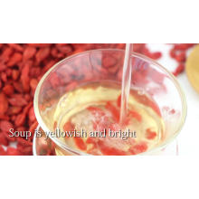 chinese wolfberry powder the fruit of chinese wolfberry